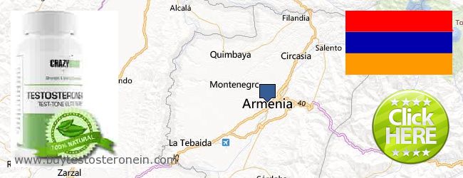 Gdzie kupić Testosterone w Internecie Armenia